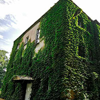 «Зелені» стіни та дах – звільнення від податку