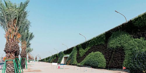 Зображення найбільший реалізований проєкт з «зеленими» стін є проспект Халіфа, Катар