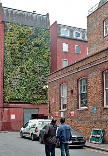Зображення «Зелена стіна» в місті Лондон