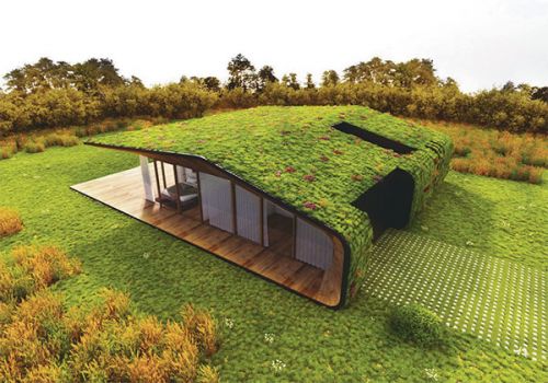 Изображение Зеленая крыша здания