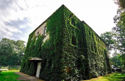 Зображення зелені стіни та дах на будинку