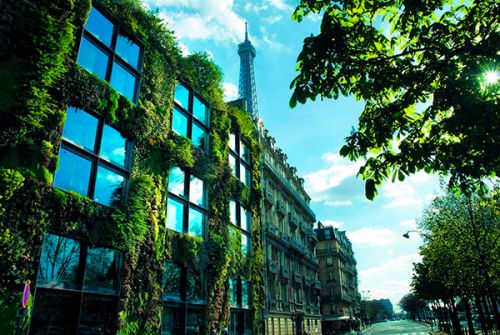 Изображение зеленые крыши в Париже
