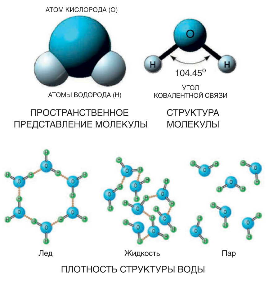 Физика молекулы воды. Структура атома воды. Схема соединений молекулы воды. Схема структуры молекулы воды. Структура формулы молекулы воды.